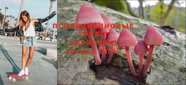 гашик Красноперекопск