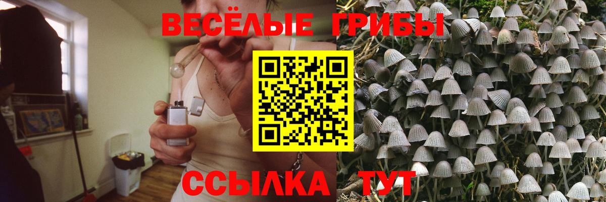 Галлюциногенные грибы MAGIC MUSHROOMS Смоленск